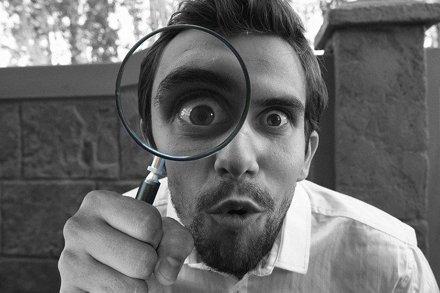 Magnifying Glass Detective Looking  - Tumisu / Pixabay