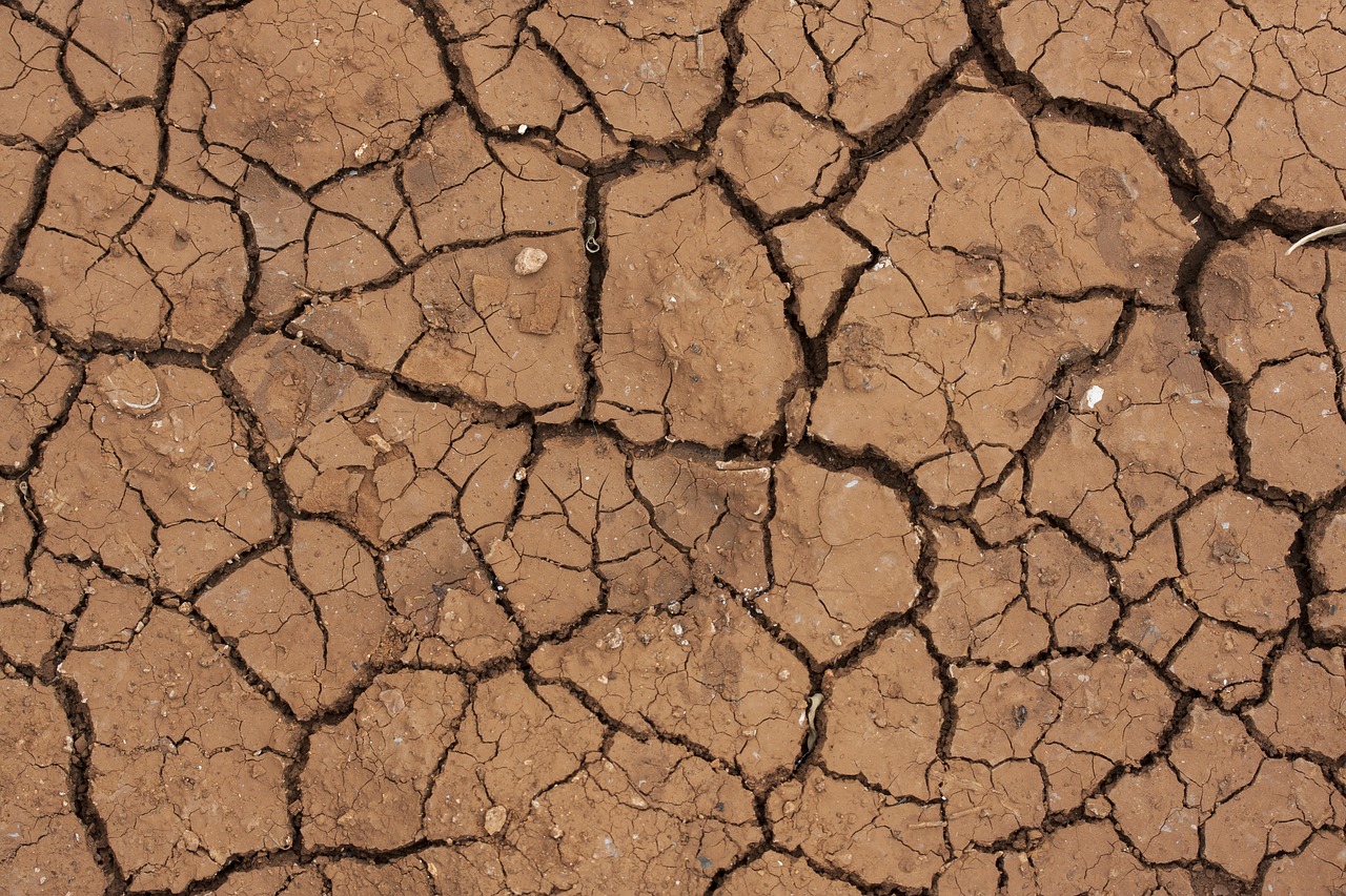 Transition écologique : la CFDT demande une juste répartition des efforts !